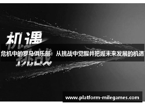 危机中的罗马俱乐部：从挑战中觉醒并把握未来发展的机遇