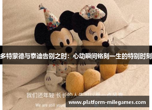 多特蒙德与泰迪告别之时：心动瞬间铭刻一生的特别时刻