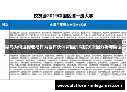 魔鸟为何选择老马作为合作伙伴背后的深层次原因分析与解读