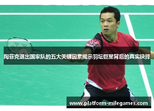 陶菲克退出国家队的五大关键因素揭示羽坛巨星背后的真实抉择 陶菲克退出国家队的五大关键因素揭示羽坛巨星背后的真实抉择