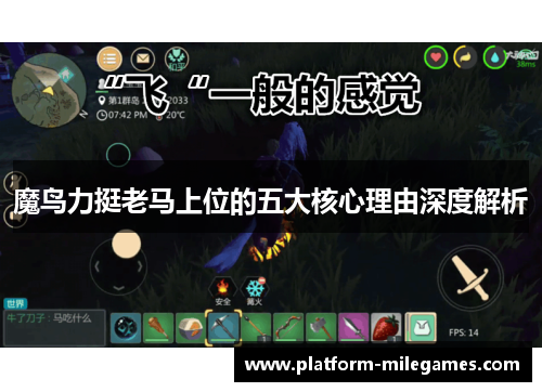 魔鸟力挺老马上位的五大核心理由深度解析